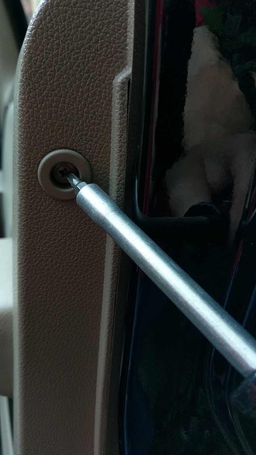 Door Panel Screws