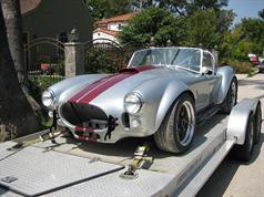 VSE Cobra