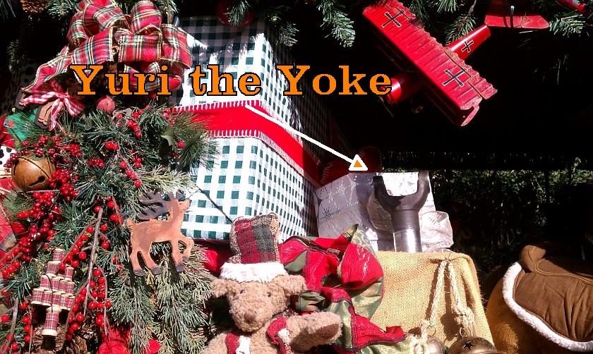 Yuri the Yoke at Disneyland